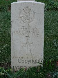 Salonika (Lembet Road) Military Cemetery - Greenwood, Joseph